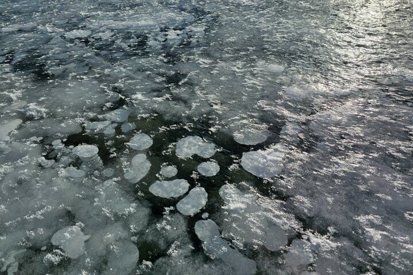 Abraham lake