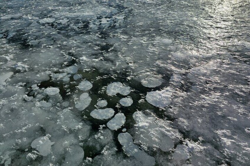 Abraham lake