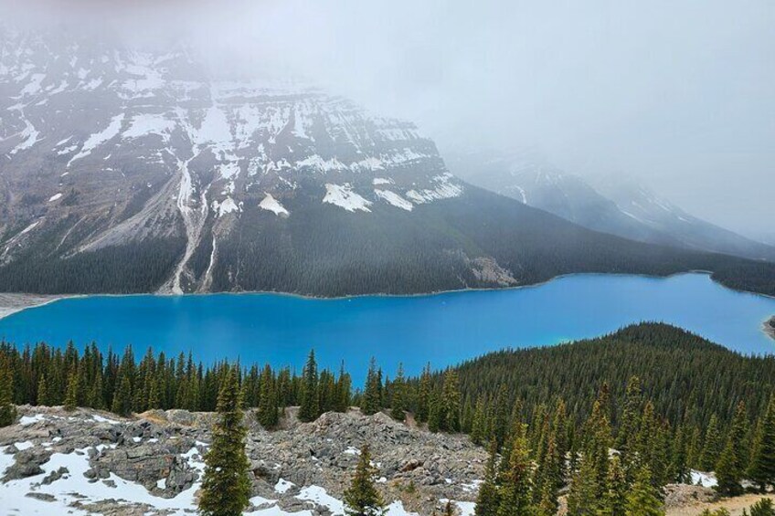 Icefields Parkway and Abraham Lake Bubbles Tour