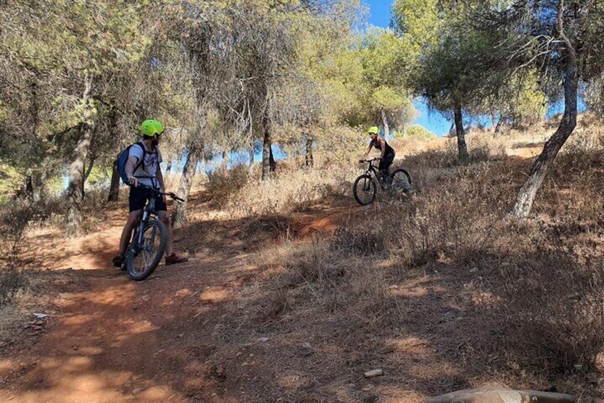 https://www.tripadvisor.com/PreviewImage?p=11&img=202158527
