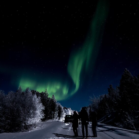Picture 25 for Activity Saariselkä,Kakslauttanen: Aurora Hunting & Photography Tour.