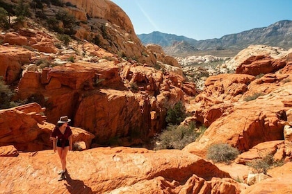 Panoramic Red Rock Canyon Scenic Loop Tour