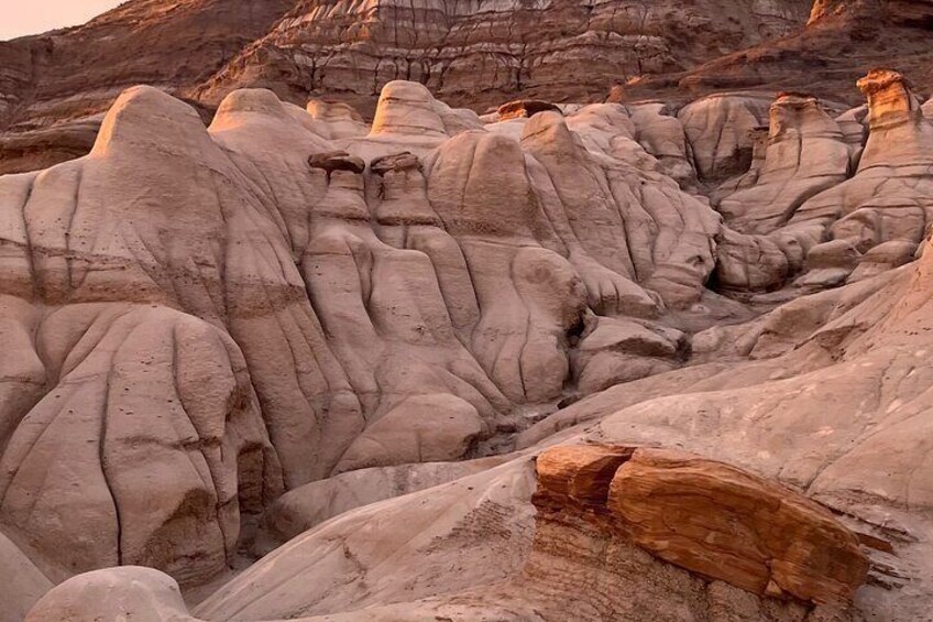 Day of Dinosaurs and Hoodoos From Calgary to the Badlands