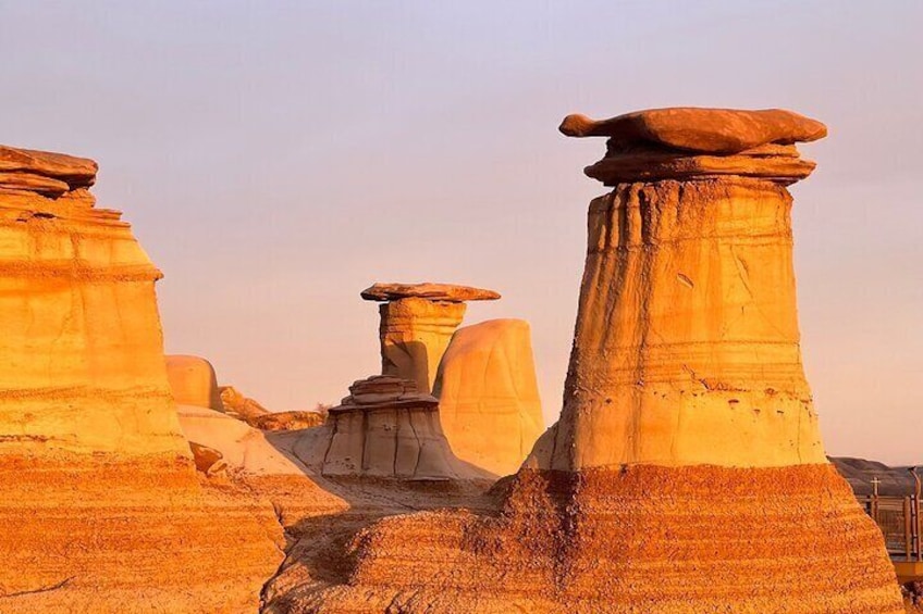 Day of Dinosaurs and Hoodoos From Calgary to the Badlands