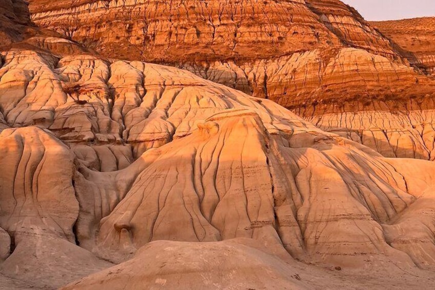 Day of Dinosaurs and Hoodoos From Calgary to the Badlands