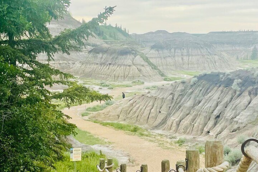 Day of Dinosaurs and Hoodoos From Calgary to the Badlands
