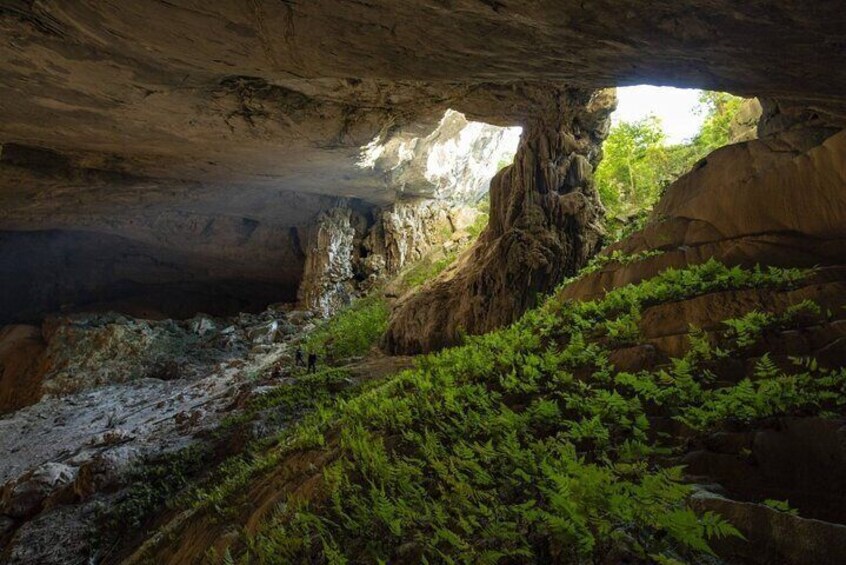 Phong Nha Cave Fullday tour from Hanoi