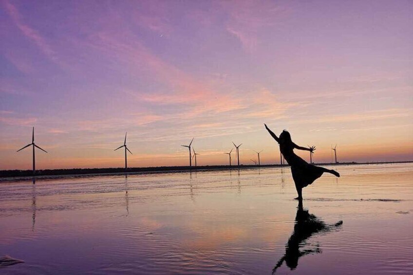 Sun Moon Lake Crescent Bay & Gaomei Wetlands One-day Tour