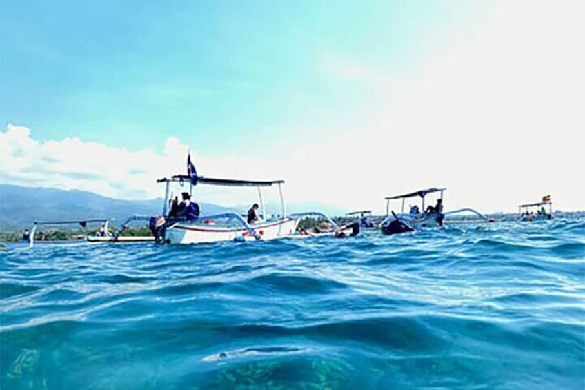 Northern Bali: Dolphin Watching and Snorkeling Experience