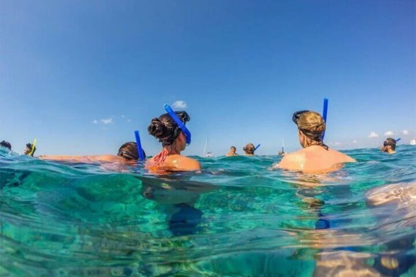 Northern Bali: Dolphin Watching and Snorkeling Experience