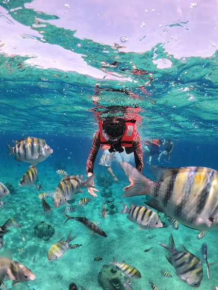 Shore Excursion: Clear Boat Ride, Drinks & Snorkel