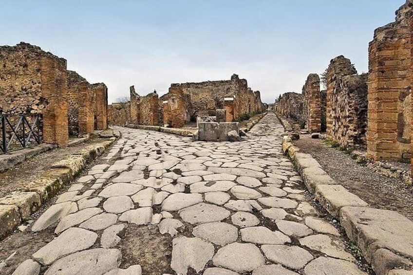 Private Day Tour from Rome to Pompeii and Taste of Wine