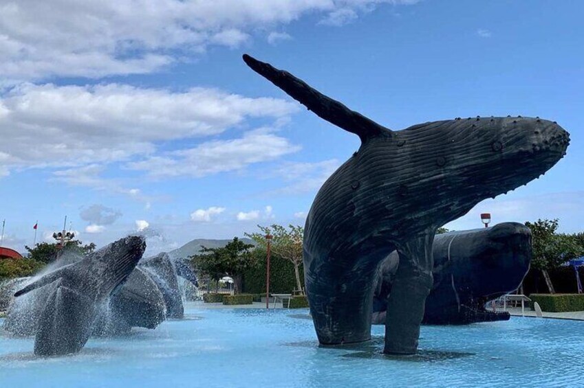 [7% Off] Kenting Aquarium Admission Ticket | Taiwan