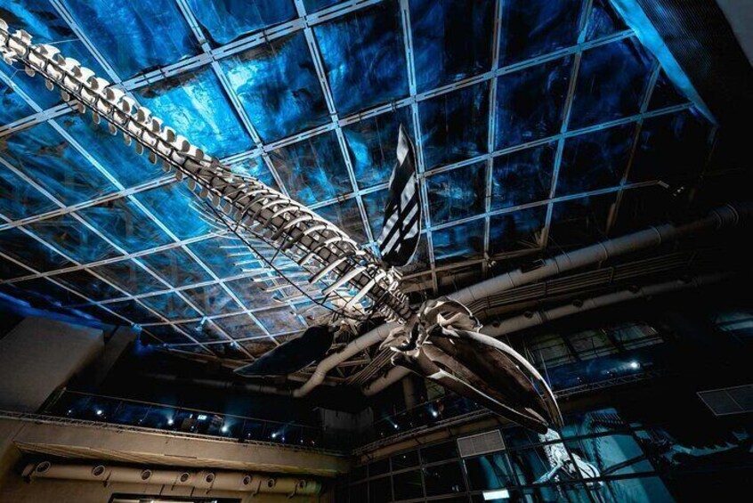 Kenting Aquarium Admission Ticket | Taiwan