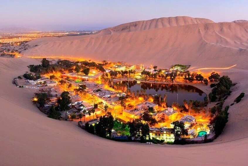  Paracas Ica and Huacachina from Lima All Inclusive in 1 day 