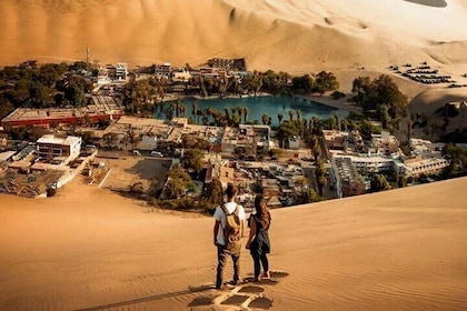 Paracas Ica and Huacachina from Lima All-inclusive in 1 day