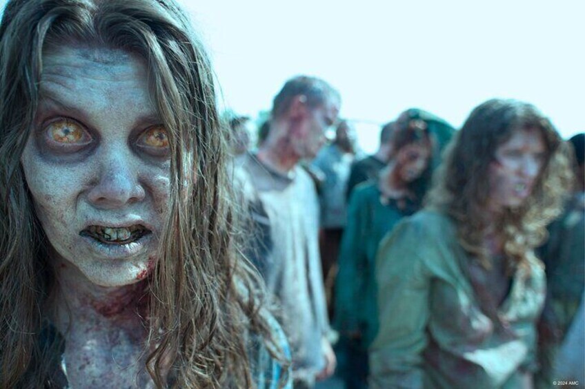 Twd Poitiers