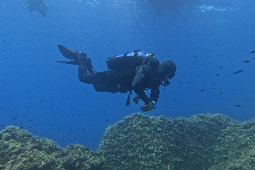 Diver in safety stop