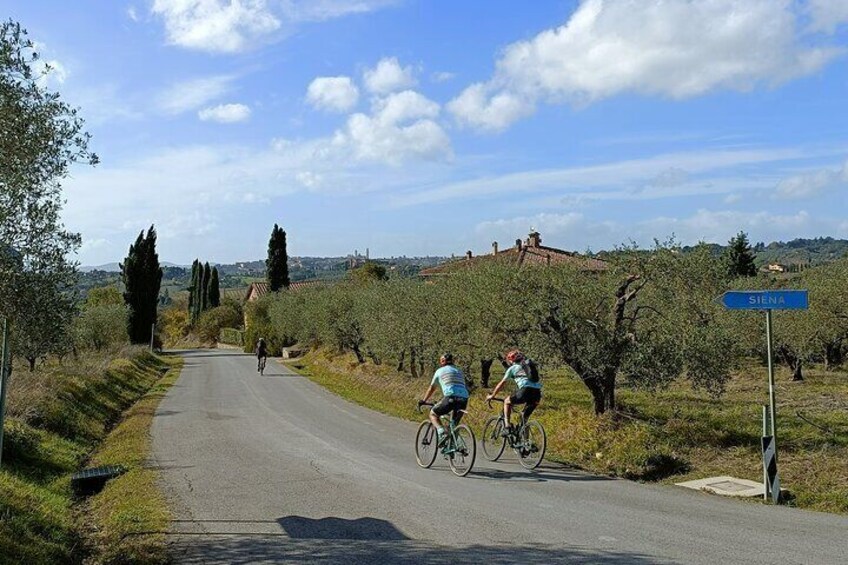 Chianti E-Bike Tour from Siena