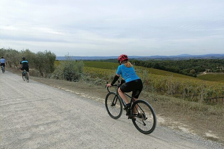 Chianti E-Bike Tour from Siena