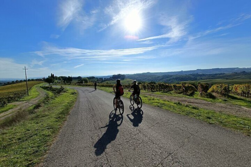 Chianti E-Bike Tour from Siena