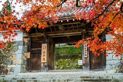 Kyoto Sansen-in Arashiyama Train 1 Day Tour from Osaka or Kyoto