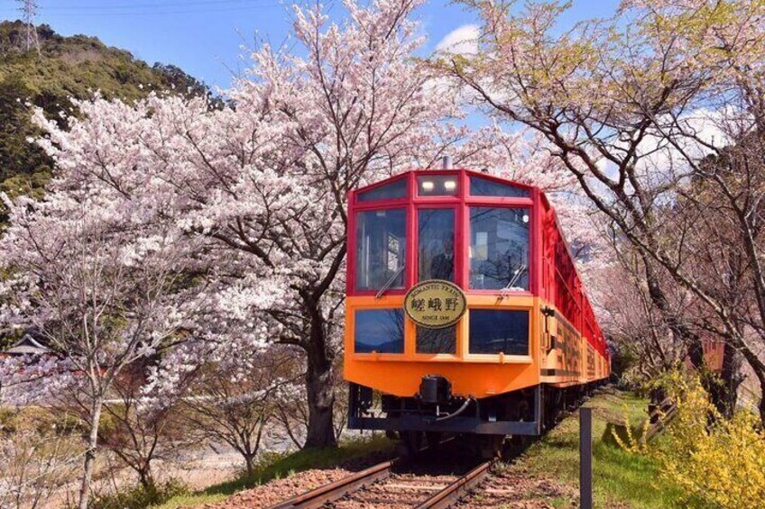 Arashiyama Train-1
