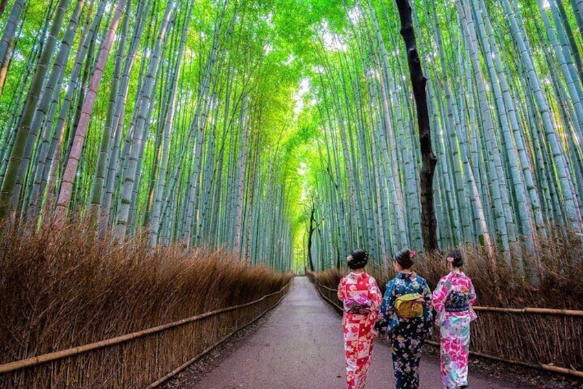 Sagano Bamboo Forest-1