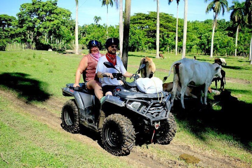 ATV Excursions Puerto Plata Amber Cove & Taino Bay