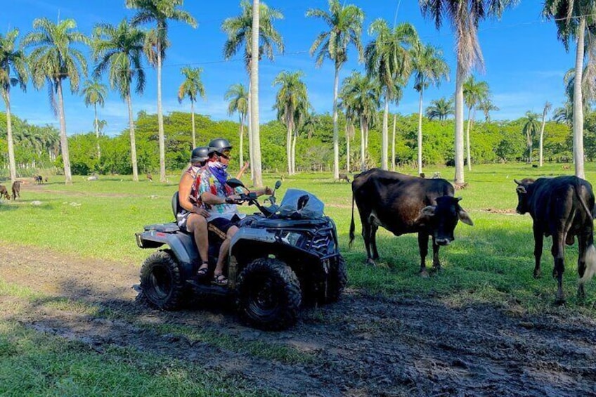 ATV Excursions Puerto Plata Amber Cove & Taino Bay