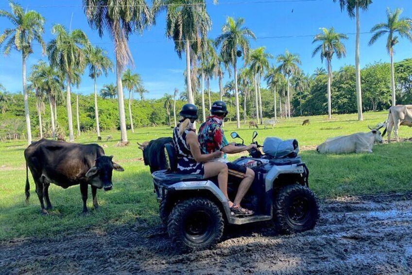 ATV Excursions Puerto Plata Amber Cove & Taino Bay