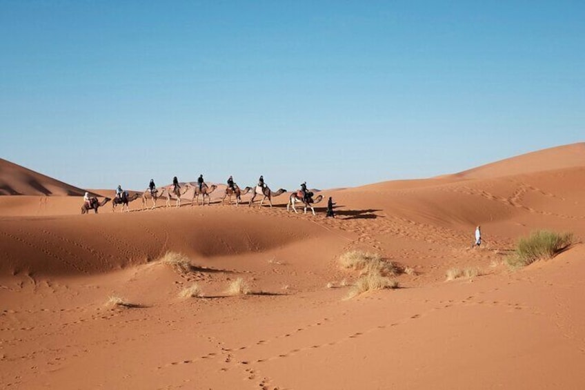 7-Day Tunisia Desert Rose Sahara Camel Trek