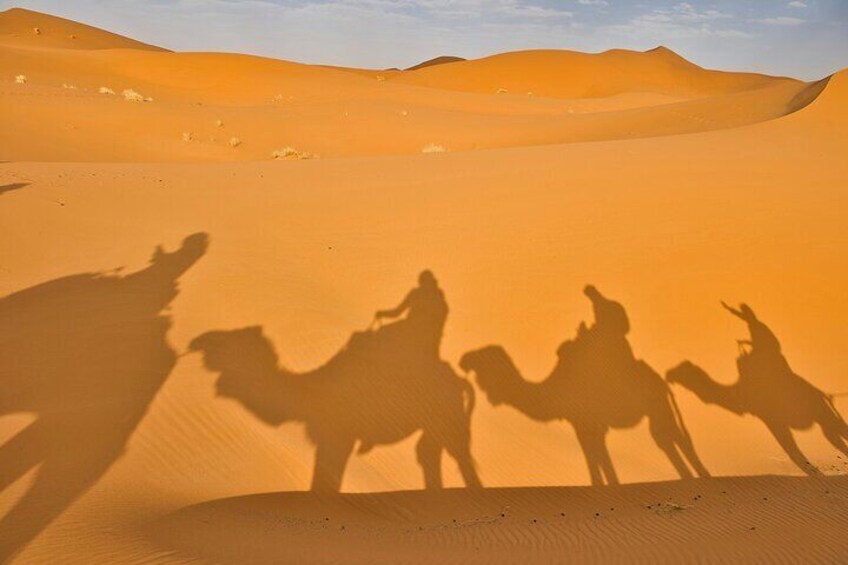 7-Day Tunisia Desert Rose Sahara Camel Trek