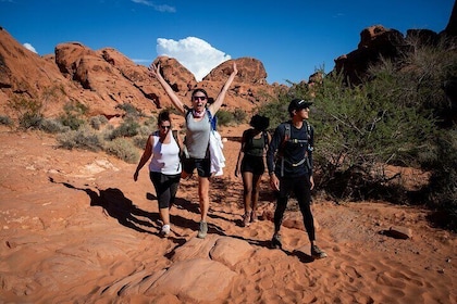 Valley of Fire Guided Hiking Tour and Mojave Desert Adventure