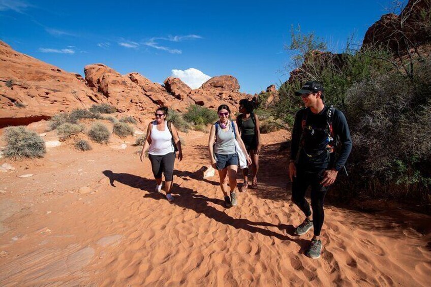 Valley of Fire Guided Hiking Tour from Las Vegas