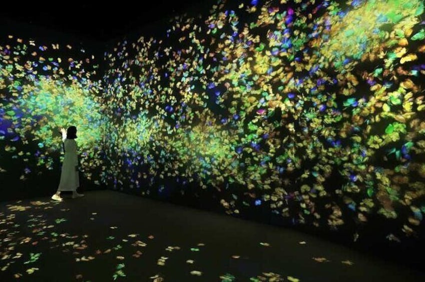 teamLab Forest Fukuoka an Immersive Art Experience Ticket