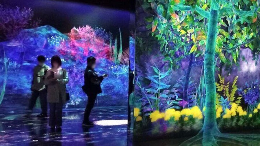 teamLab Forest Fukuoka an Immersive Art Experience Ticket