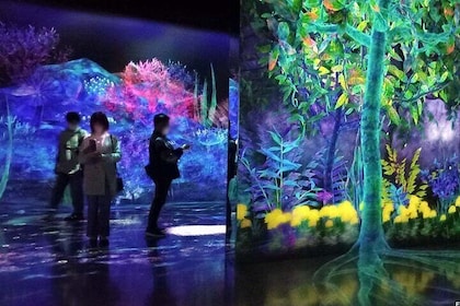 teamLab Forest Fukuoka an Immersive Art Experience Ticket