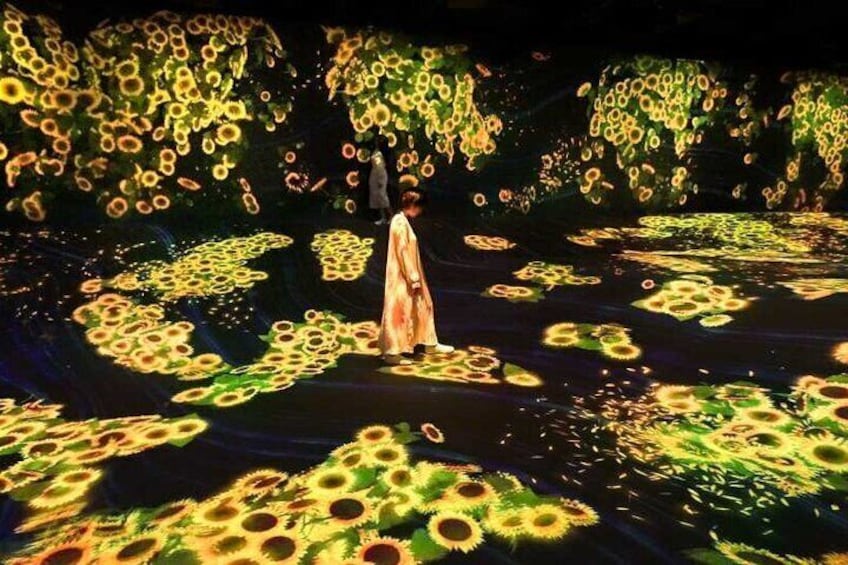 teamLab Forest Fukuoka an Immersive Art Experience Ticket