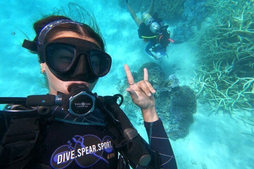 Scuba dive the turquoise waters of the Southern Great Barrier Reef from Agnes Water / 1770