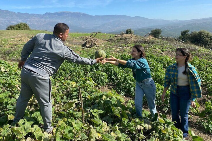 A Day in a Moroccan Village Farm Food and Tradition