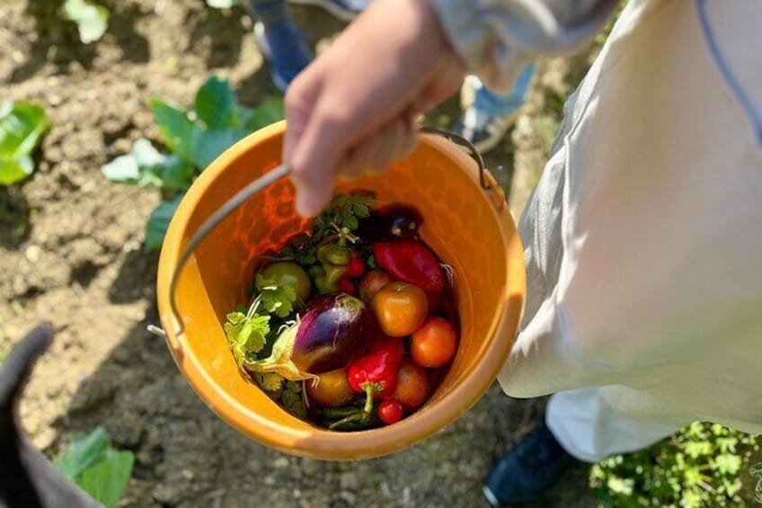 A Day in a Moroccan Village Farm Food and Tradition