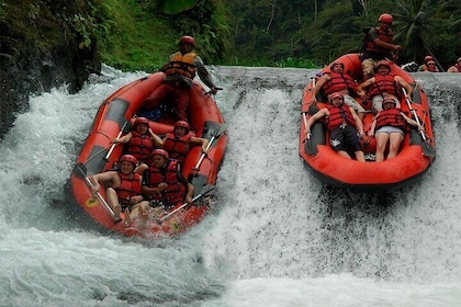 Bali Telaga Waja River Rafting Adventure With Pickup