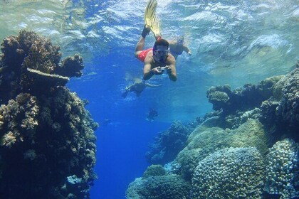 Coral Garden Snorkeling from Masa Alam