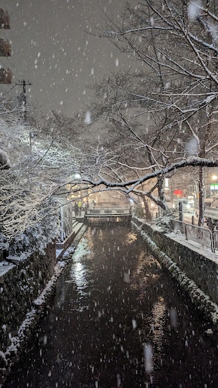 Picture 9 for Activity Kyoto's Refined Palate: A Food Tour for Discerning Guests