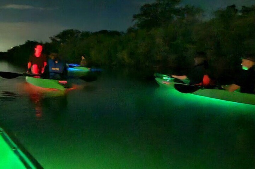 Magical Nite Glow Kayak Tour