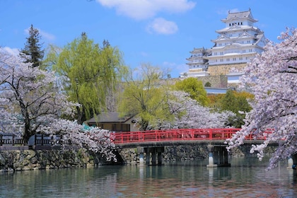 Walking Tour in Himeji : Castle, Garden and Indigo Dyeing