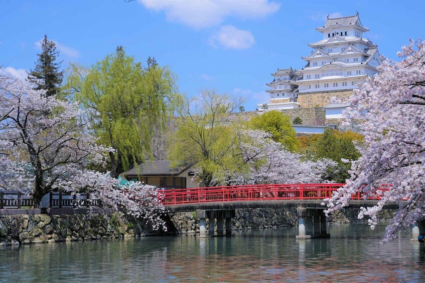 Walking Tour in Himeji : Castle, Garden and Indigo Dyeing