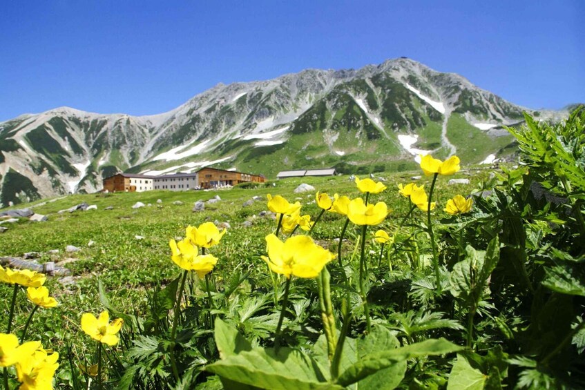 Picture 1 for Activity Nagano: Tateyama-Kurobe Guided Walking Tour