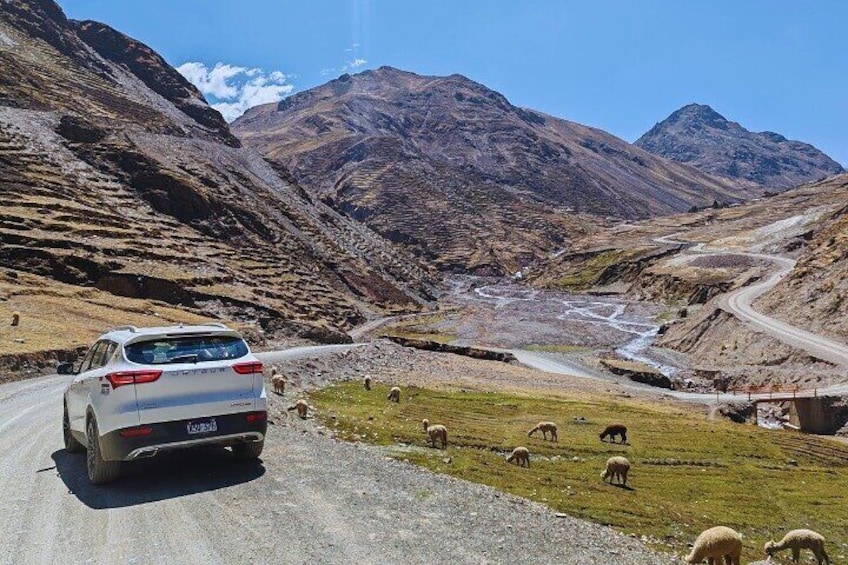 Cusco to Rainbow Mountain